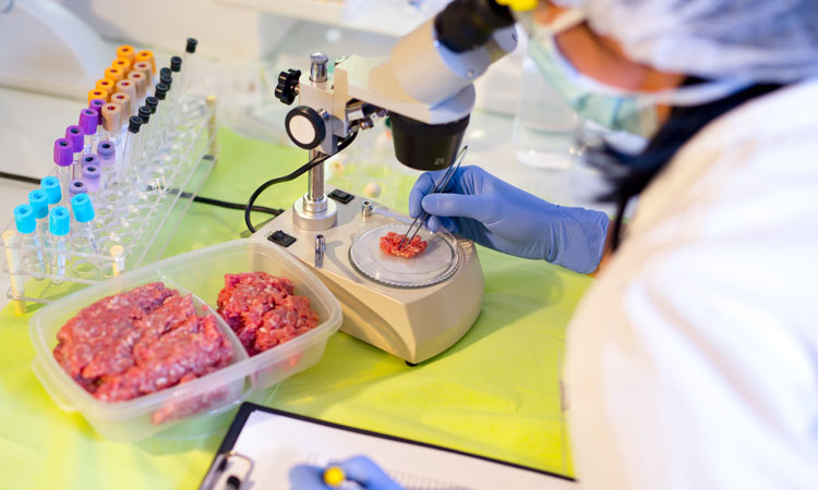 Inspection Certificate