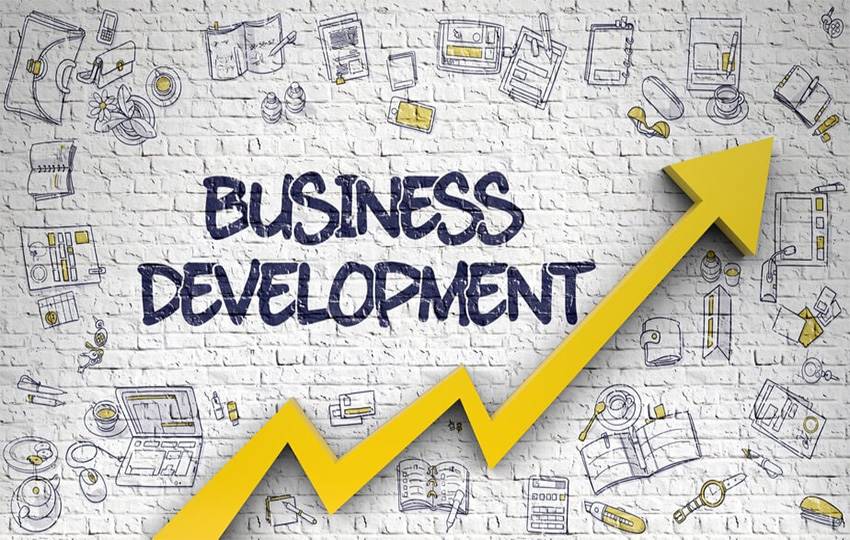 Business Development and Consultancy Agreement