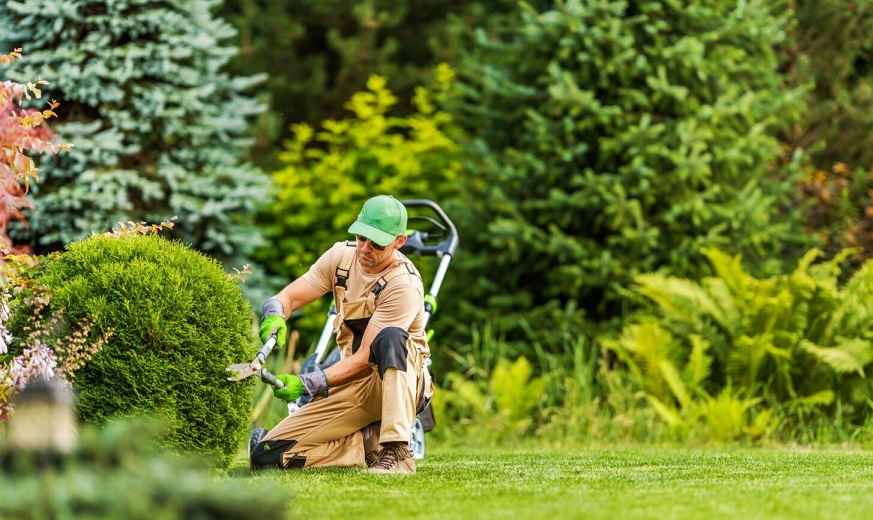 Landscaping Services Contract